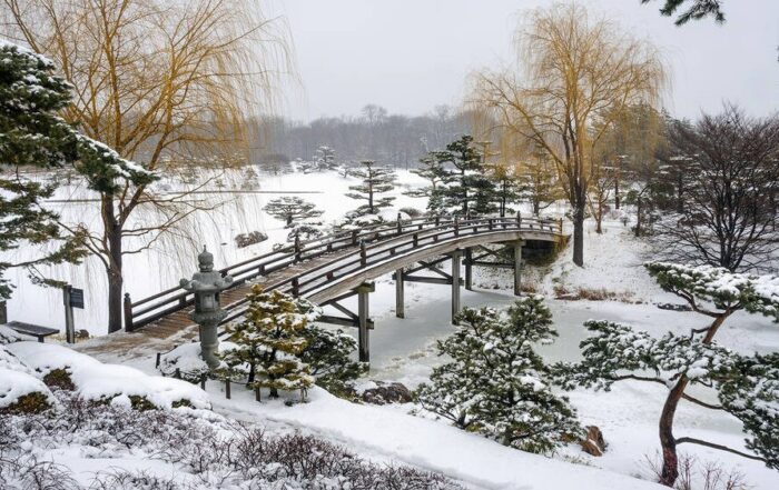 Renaissance North Shore botanic garden winter